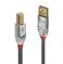 CABLE USB2 A-B 5M/CROMO 36644 LINDY - Image 2