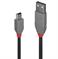CABLE USB2 A TO MINI-B 0.2M/ANTHRA 36720 LINDY - Pilt 4