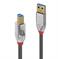 CABLE USB3.0 A-B 2M/CROMO 36662 LINDY - Pilt 2