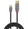 CABLE USB3.2 C-A 0.15M/ANTHRA 36895 LINDY - Pilt 2