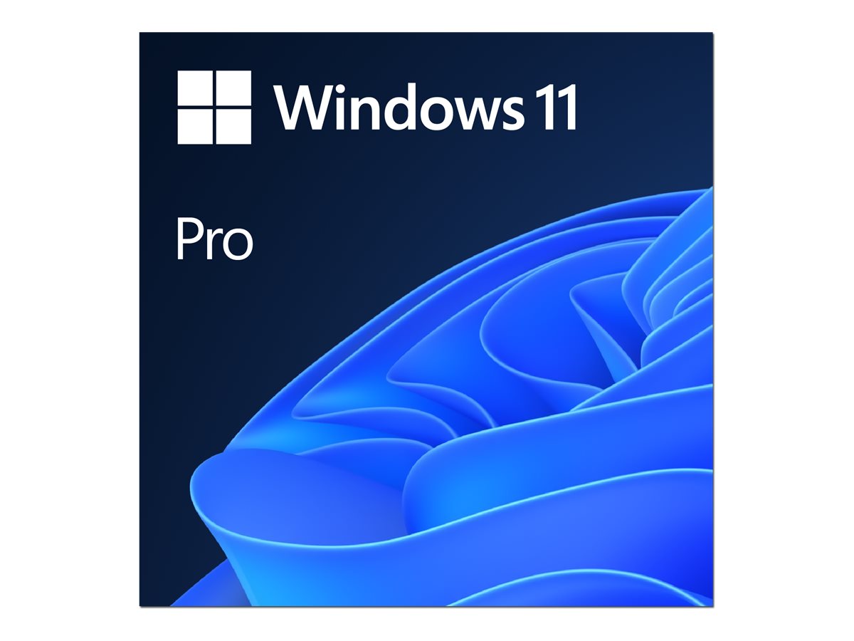 MS ESD Win Pro 11 64-bit - Pilt 2