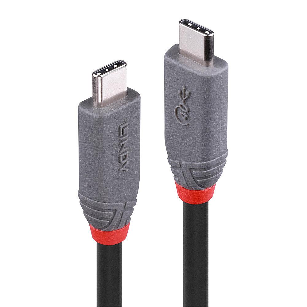 CABLE USB-C TO USB-C 0.8M/ANTHRA 36947 LINDY — изображение 3