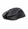 MOUSE USB OPTICAL WRL GXT931/YBAR MULTI BLK 25330 TRUST - Pilt 2