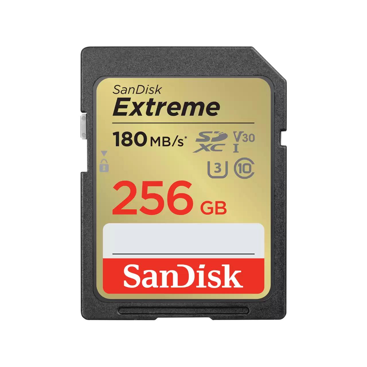 MEMORY SDXC 256GB UHS-1/SDSDXVV-256G-GNCIN SANDISK - Image 3