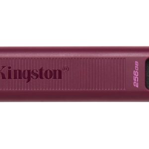 MEMORY DRIVE FLASH USB3.2/256GB DTMAXA/256GB KINGSTON
