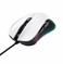 MOUSE USB OPTICAL GXT922W YBAR/24485 TRUST - Pilt 4