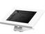 TABLET ACC HOLDER COUNTERTOP/DS15-630WH1 NEOMOUNTS - Pilt 2