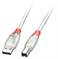 CABLE USB2 A-B 0.2M/TRANSPARENT 41750 LINDY - Pilt 2