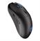 MOUSE USB OPTICAL WRL GEM PLUS/BLACK EY6A013 ENDORFY — изображение 2