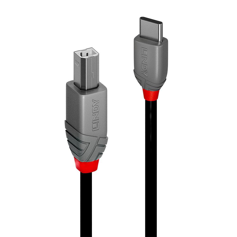 CABLE USB2 C-B 0.5M/ANTHRA 36940 LINDY - Image 3