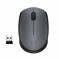 MOUSE USB OPTICAL WRL M170/GREY 910-004642 LOGITECH - Pilt 6