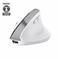 MOUSE USB OPTICAL WRL BAYO+/ERGONOMIC WHT 25399 TRUST - Pilt 6