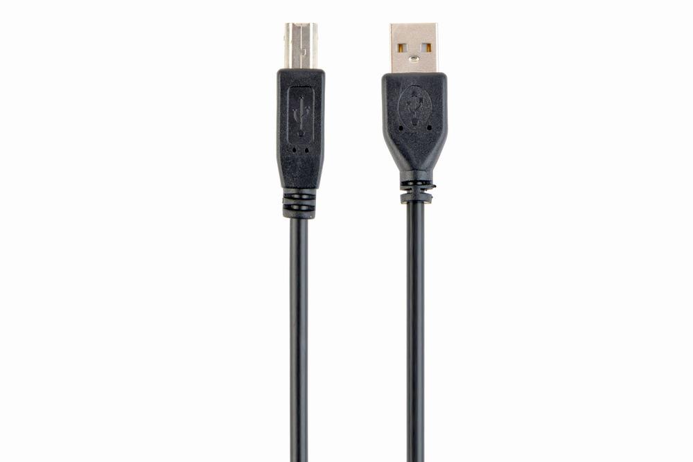 CABLE USB2 AM-BM 1M/CCP-USB2-AMBM-1M GEMBIRD - Pilt 3