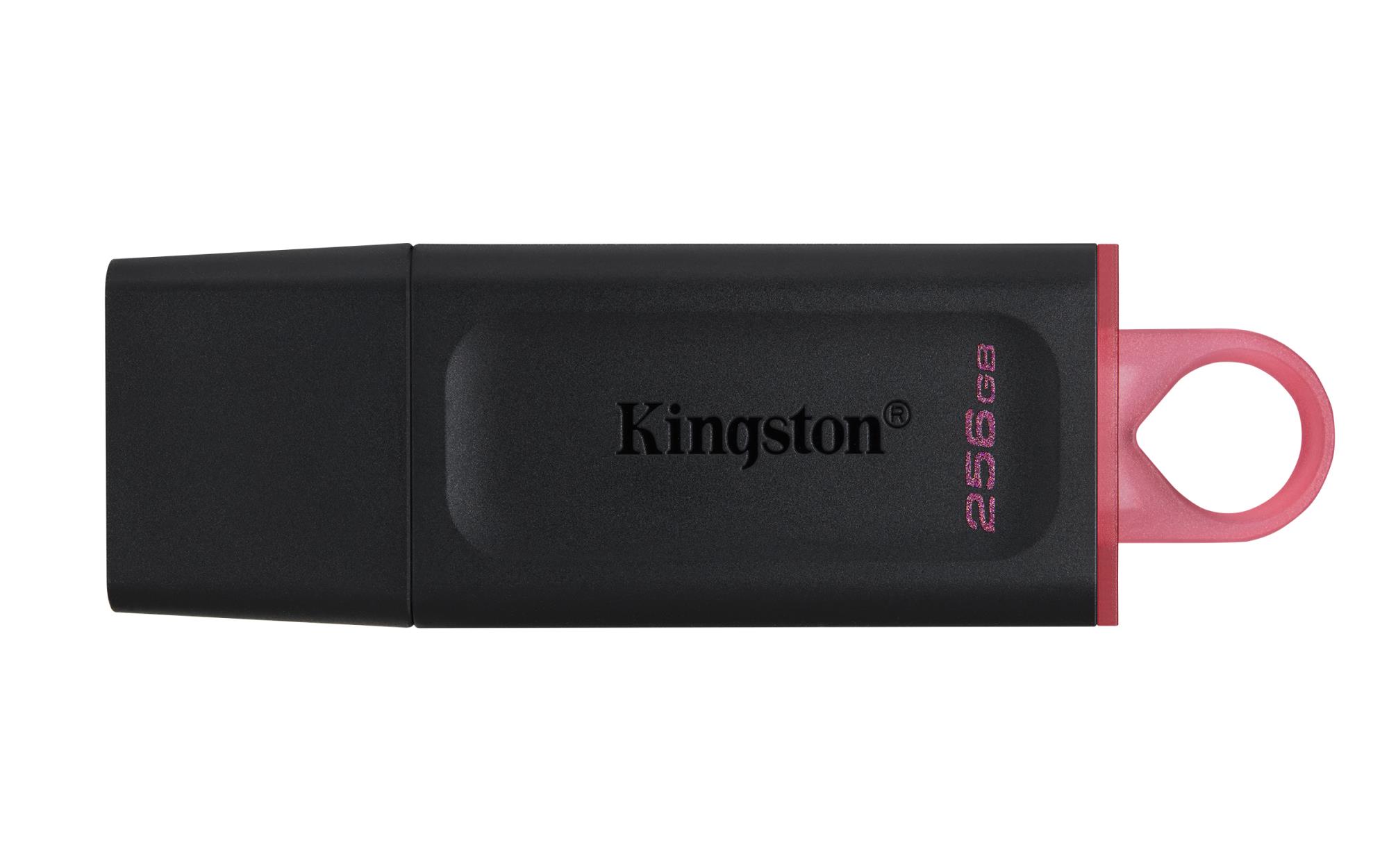 MEMORY DRIVE FLASH USB3.2/256GB DTX/256GB KINGSTON - Pilt 3