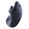 MOUSE USB OPTICAL WRL BLACK/ERGONOMIC MUSW-ERGO-03 GEMBIRD - Pilt 2