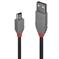 CABLE USB2 A TO MINI-B 0.2M/ANTHRA 36720 LINDY - Pilt 2