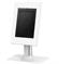 TABLET ACC HOLDER COUNTERTOP/DS15-650WH1 NEOMOUNTS - Pilt 2