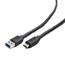 CABLE USB-C TO USB3 3M/CCP-USB3-AMCM-10 GEMBIRD - Pilt 2