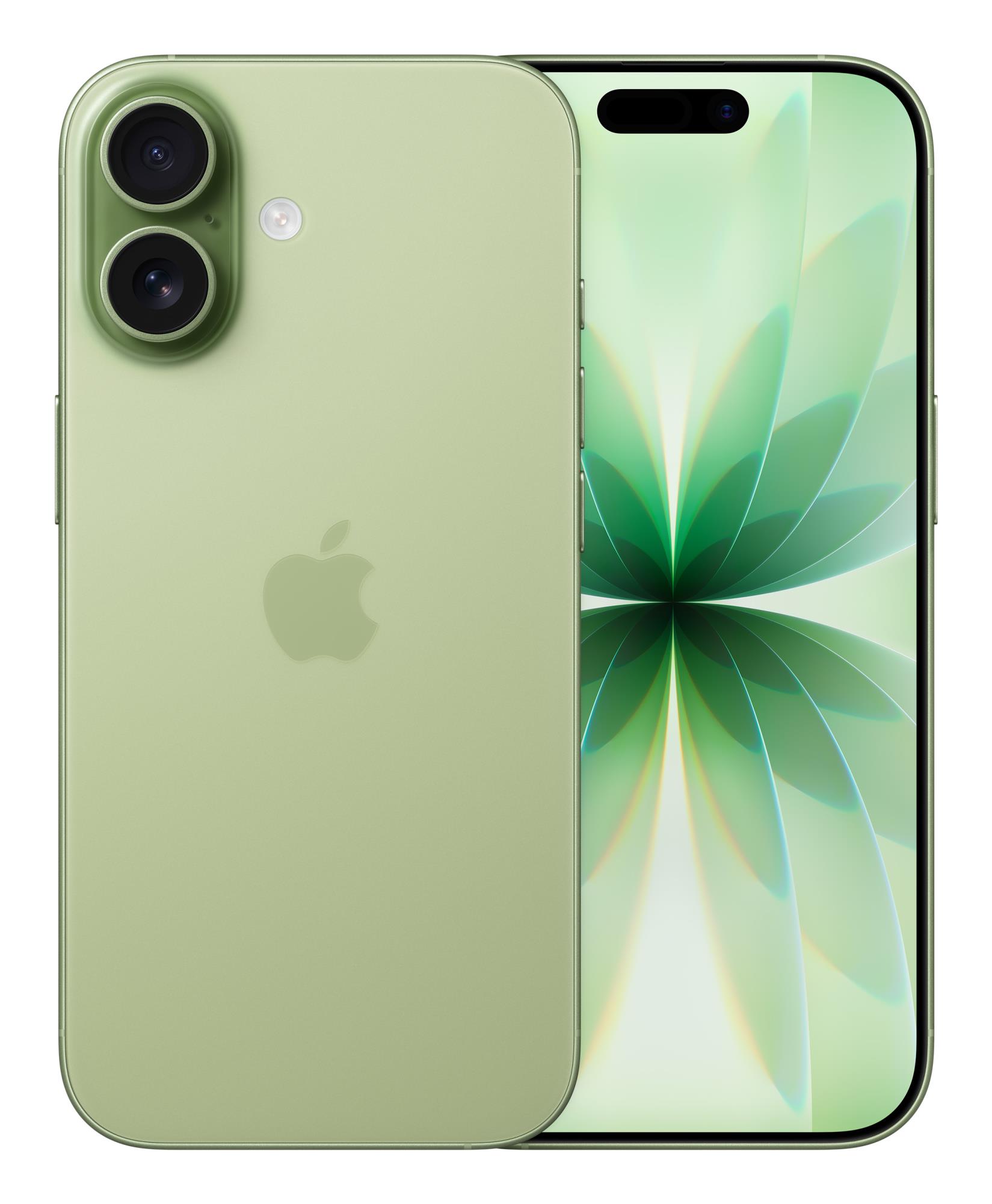 MOBILE PHONE IPHONE 17/256GB SAGE MG6N4 APPLE — изображение 3