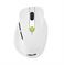 MOUSE USB OPTICAL WRL MD105/VT-GN 90XB0AH0-BMU010 ASUS - Pilt 2