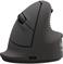 MOUSE USB OPTICAL WRL VERTICAL/ERGO+ M L 100143583 FELLOWES - Pilt 2