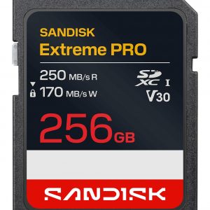 MEMORY SDXC 256GB UHS-1/SDSDXXJ-256G-GSCIN SANDISK