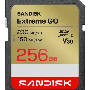 MEMORY SDXC 256GB UHS-I/SDSDXGN-256G-GNCIN SANDISK