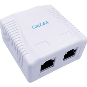 GEMBIRD CAT6A FTP 2-port surface mount b